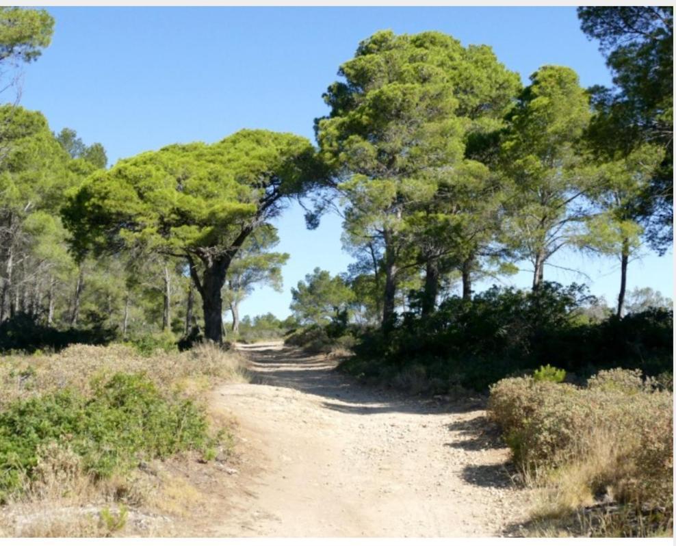 Vila Antiqua Roma Spqr Domus Port-la-Nouvelle Exteriér fotografie